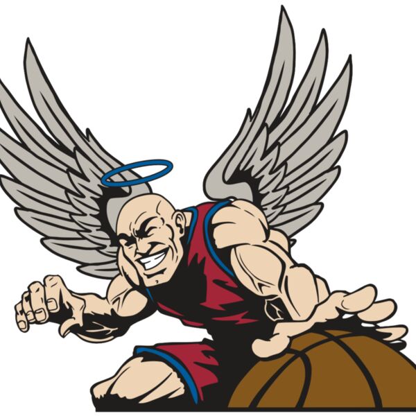 AR17 ANGEL BSKT 04 RQC Thumbnail