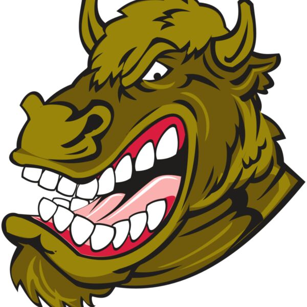 BUFFALO HD0501 RQC Thumbnail