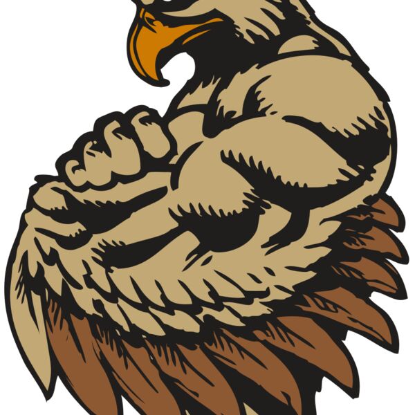 BAW HWK FLCN 02 RC Thumbnail