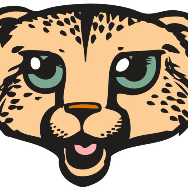 BAW CHEETAH 18 RC Thumbnail