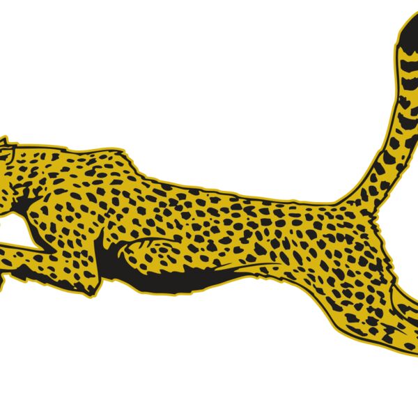 AR CHEETAH 10 RC Thumbnail