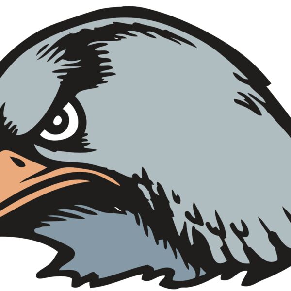 BAW HWK FLCN 03 RC Thumbnail