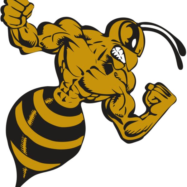 BAW BEE 01 RC Thumbnail