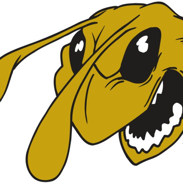 AR5 BEE 26 RQC Thumbnail