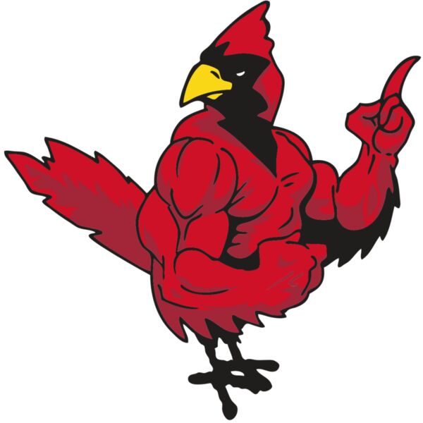 AR CARDINAL 27 RC Thumbnail