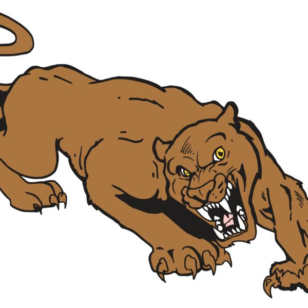 AR5 COUGAR 41 RQC Thumbnail