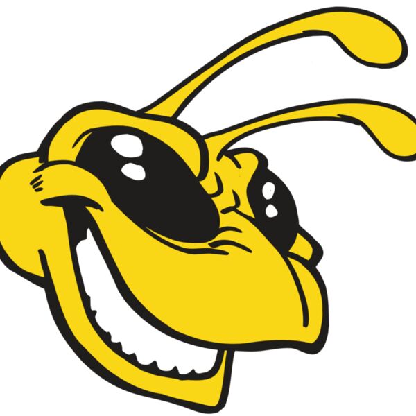 AR5 BEE 24 RQC Thumbnail