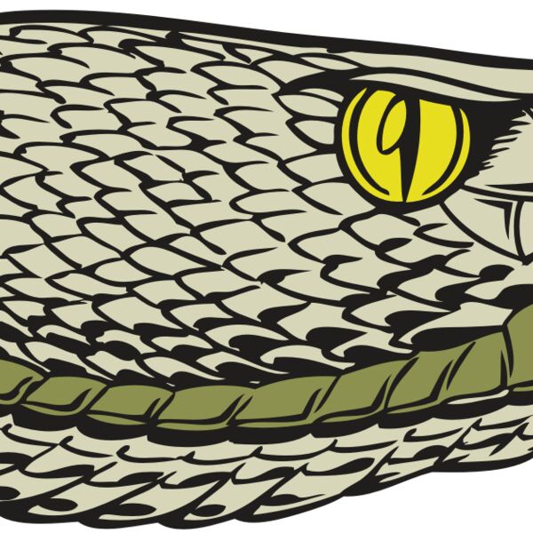 BAW SNAKE 03 RC Thumbnail