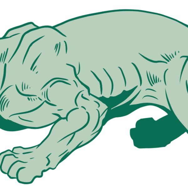 AR10 PANTHER 05 RQC Thumbnail