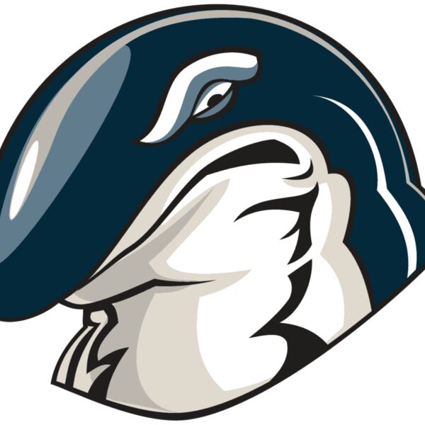 WHALE HD0503 RQC Thumbnail