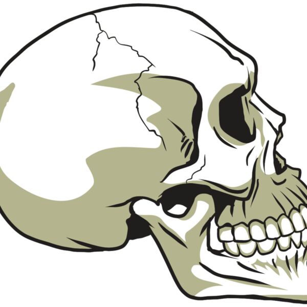 AR24 SKULL 12 RQC Thumbnail