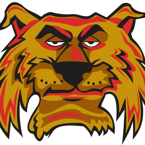 WILDCAT HD0503 RQC Thumbnail