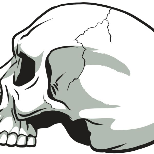 AR24 SKULL 11 RQC Thumbnail