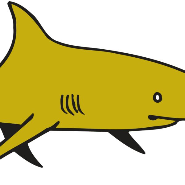 AR  SHARK 30 RC Thumbnail