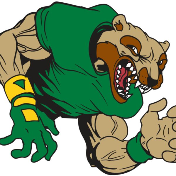 AR5 Wolverine 17 RQC Thumbnail