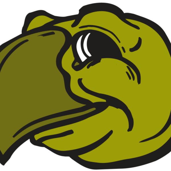 AR5 Turtle 08 RQC Thumbnail