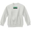 Youth ComfortBlend® EcoSmart® Fleece Crew Thumbnail