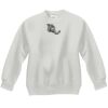 Youth ComfortBlend® EcoSmart® Fleece Crew Thumbnail