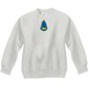 Youth ComfortBlend® EcoSmart® Fleece Crew Thumbnail