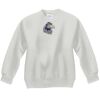 Youth ComfortBlend® EcoSmart® Fleece Crew Thumbnail
