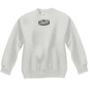 Youth ComfortBlend® EcoSmart® Fleece Crew Thumbnail