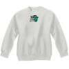 Youth ComfortBlend® EcoSmart® Fleece Crew Thumbnail