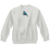 Youth ComfortBlend® EcoSmart® Fleece Crew Thumbnail