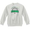 Youth ComfortBlend® EcoSmart® Fleece Crew Thumbnail