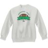 Youth ComfortBlend® EcoSmart® Fleece Crew Thumbnail