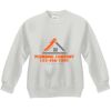Youth ComfortBlend® EcoSmart® Fleece Crew Thumbnail
