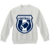 Youth ComfortBlend® EcoSmart® Fleece Crew Thumbnail