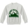 Youth ComfortBlend® EcoSmart® Fleece Crew Thumbnail