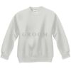 Youth ComfortBlend® EcoSmart® Fleece Crew Thumbnail