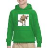 Youth Heavy Blend™ Hooded Sweatshirt Thumbnail