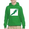 Youth Heavy Blend™ Hooded Sweatshirt Thumbnail