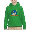 Youth Heavy Blend™ Hooded Sweatshirt Thumbnail