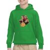 Youth Heavy Blend™ Hooded Sweatshirt Thumbnail