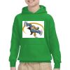 Youth Heavy Blend™ Hooded Sweatshirt Thumbnail