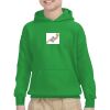 Youth Heavy Blend™ Hooded Sweatshirt Thumbnail