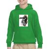 Youth Heavy Blend™ Hooded Sweatshirt Thumbnail