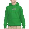 Youth Heavy Blend™ Hooded Sweatshirt Thumbnail