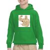 Youth Heavy Blend™ Hooded Sweatshirt Thumbnail