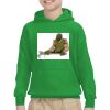 Youth Heavy Blend™ Hooded Sweatshirt Thumbnail