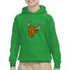 Youth Heavy Blend™ Hooded Sweatshirt Thumbnail