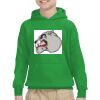 Youth Heavy Blend™ Hooded Sweatshirt Thumbnail