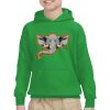 Youth Heavy Blend™ Hooded Sweatshirt Thumbnail