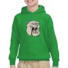 Youth Heavy Blend™ Hooded Sweatshirt Thumbnail