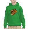 Youth Heavy Blend™ Hooded Sweatshirt Thumbnail