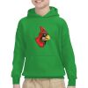 Youth Heavy Blend™ Hooded Sweatshirt Thumbnail