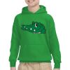 Youth Heavy Blend™ Hooded Sweatshirt Thumbnail